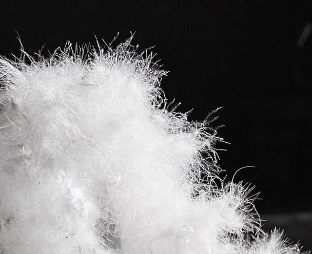 什么面料輕薄保暖&mdash;&mdash;白鴨絨